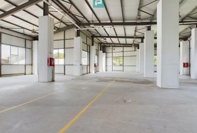 Spatii depozitare clasa A, zona Bucuresti sud - Jilava - 3