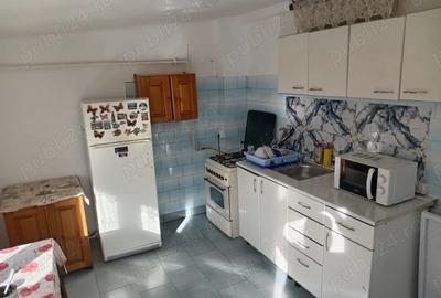 Inchiriez casa la Cornu 2 sau 3 camere - 4