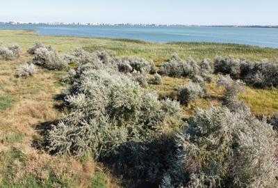 Teren de vanzare primul rand la lacul Siutghiol  Mamaia Sat - 3