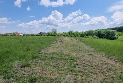 Teren de 631 mp, în Hințești - 3