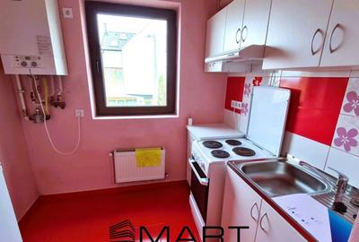 Apartament cu 2 camere semidecomandat în Tilișca - 7