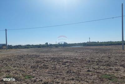 Spațiu comercial, în Balotești - 2