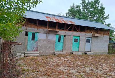 Casă individuală cu 2 camere cu Teren 2600 Mp în Crâmpoia - 2