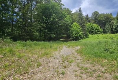 REL4001144 Teren de vanzare in Valea Doftanei - 7