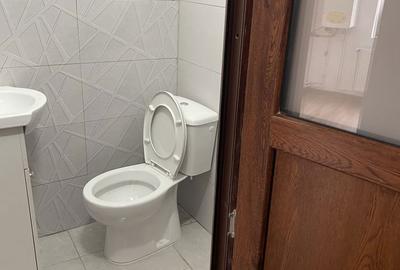 Garsonieră în Electroprecizia - 6