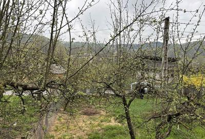 Casă cu 3 camere în Râu Alb de Jos - 3