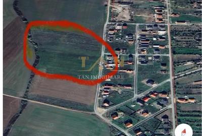 Teren de 654 mp, în Ianova - 1