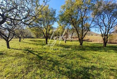 Parcelele cu cele mai bune preturi din judet - 4