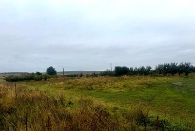 Vanzare 10.000 mp teren Liteni Suceava- la strada -potrivit proiect fonduri - 18