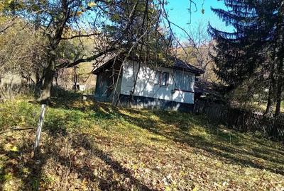 Casă în Mislea - 5