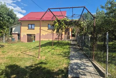 Casa individuala, de inchiriat , sat Romanesti - 1