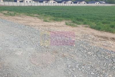 Teren Construcții intravilan de 7567 mp, în Sud - 25