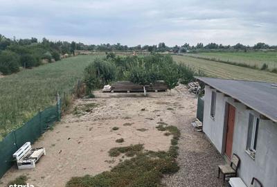Casă cu 6 camere cu Teren 2500 Mp în Milcovul - 4