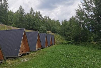 Casă cu 4 camere cu Teren 62000 Mp în Horea - 3