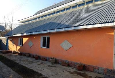 Bar+ discoteca +casa de locuit - 8