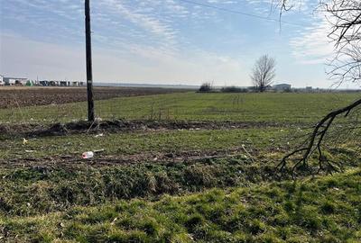 Teren Construcții intravilan de 5985 mp, în Nojorid - 12