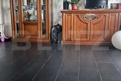 Casa individuala, 9.5 ari teren, zona Profi Sfantu Ilie - 5