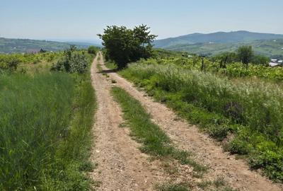 Teren de 3000 mp, în Tomești - 3