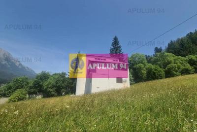 Teren de vânzare în Bușteni - Zona Zamora - 11