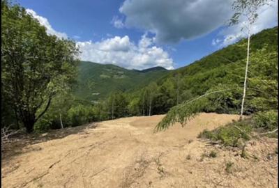 Spațiu comercial, în Central