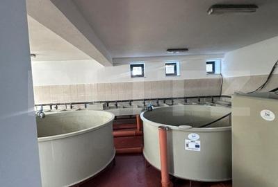 Pensiune/Ferma pescicola la cheie, teren 4000 mp, zona Molid, 0% comision - 5