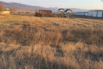 Teren de 1000 mp, în Buhoci