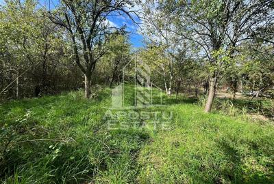 Casa cu 4 camere si teren de 2698 mp in zona Freidorf, Comision 0 - 11