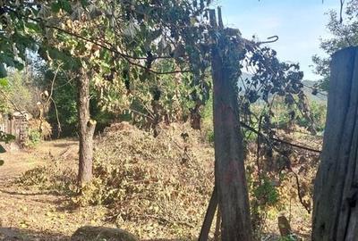 CASĂ DE VÂNZARE 2 CAMERE\ ZĂVOI\ JUD. CARAȘ-SEVERIN - 3