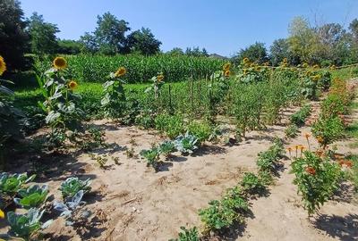 Teren pentru casa si gradina - 8