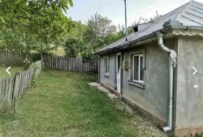2 Casa padure + 4800 teren langa Focsani - 5