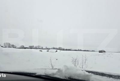 Spațiu comercial, în Giroc