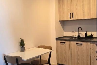 Apartament cu 2 camere semidecomandat, mobilat în Costin Georgian - 4