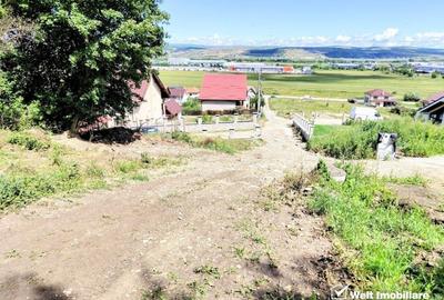 Teren intravilan constructie casa, Dezmir - 3