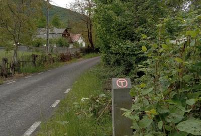 Casă cu 6 camere în Zimți - 2