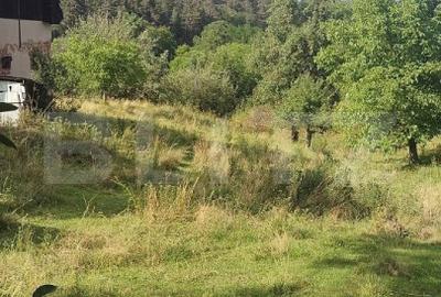 Casa la tara de vanzare, teren de 6000 mp - Cacova Ierii, Comuna Iara, Cluj - 10