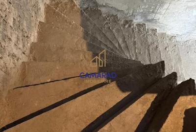 Vila arhitectura deosebita - consolidata - Cismigiu - Calea Victoriei - Romana Vila arhitectura deosebita - consolidata - Cismigiu - Calea Victoriei - Romana - 4