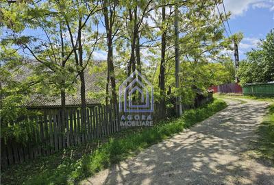 Suceava, Draguseni, teren cu casa batraneasca, langa troit Suceava, Draguseni, teren cu casa batraneasca, langa troit - 4