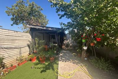 Spatiu Comercial P+1, 272 MP teren, 146 MP utili, Zona Parcul Romanescu - 17