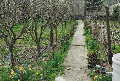 Casă în Racovițeni - 1