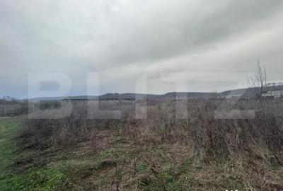 Teren de 10000 mp, în Artego - 1