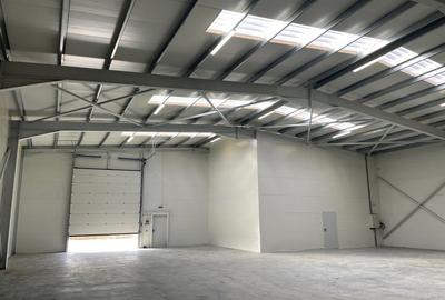 Spatiu depozitare si productie Chitila - Rudeni - 2