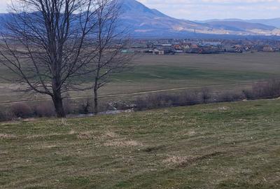 Spațiu comercial, în Central - 3