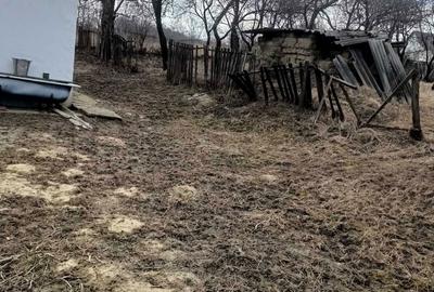 Spațiu comercial, în Hănțești - 5