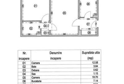 Apartament 2 camere Nicolae Grigorescu - 9