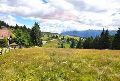 Teren de vis in Fundata 3868mp, la inal?imea sufletului tau - 1