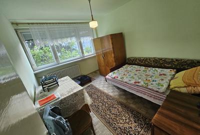 Apartament cu 3 camere semidecomandat, mobilat în Grigorescu - 2