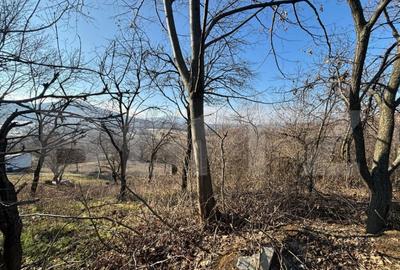 Teren intravilan de vanzare, 17700 mp Zalau - 4