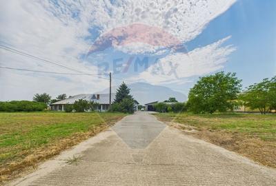 Proprietate specială, de 937 mp, în Dragomirești-Deal - 2