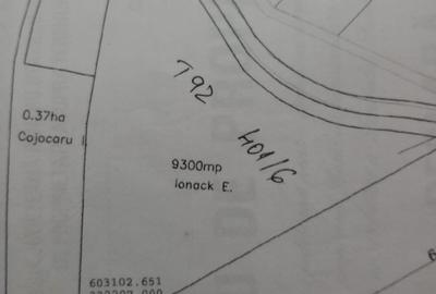 Teren de 9300 mp, în Cozieni - 1