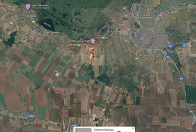 Teren de 10000 mp, în Mineri